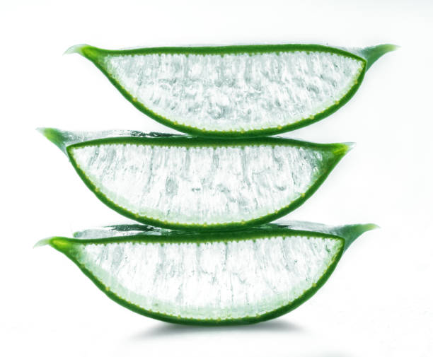 istock Aloe vera fresh slices on white background. 920329480