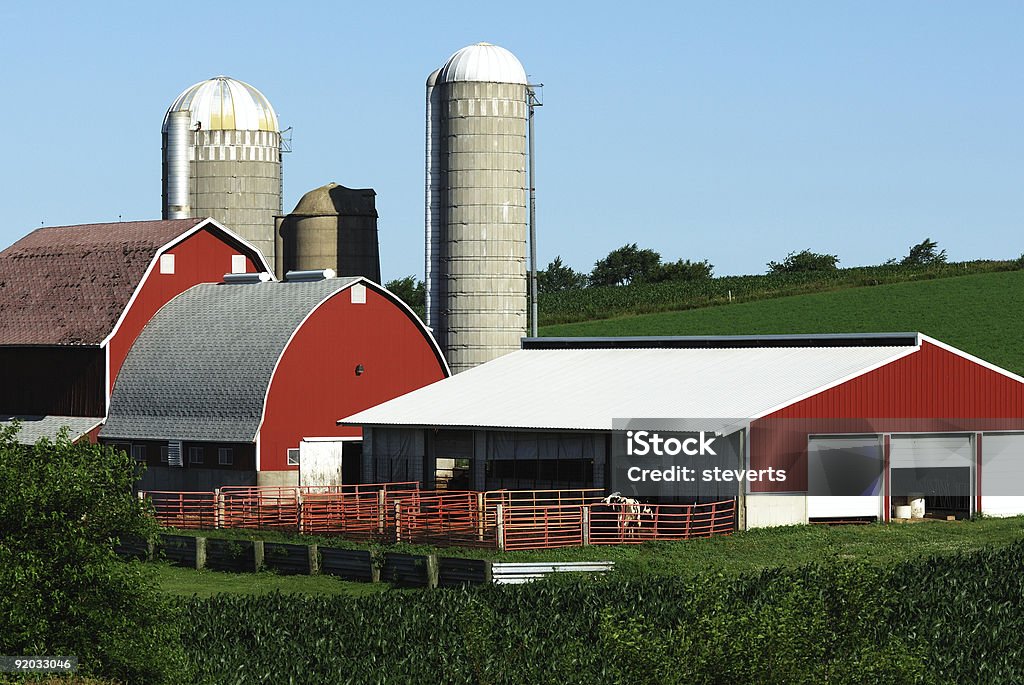 Rouge Barns et remise - Photo de Arbre libre de droits