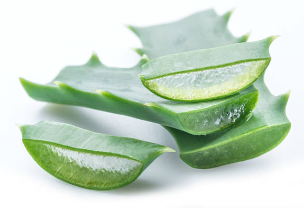 istock Aloe or Aloe vera fresh leaves and slices. 920331594