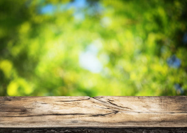 istock Old wooden table top and green foliage. 920331860