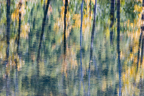 An abstract design created by foliage reflecting on water seasonal water reflection abstract impressionism photos stock pictures, royalty-free photos & images