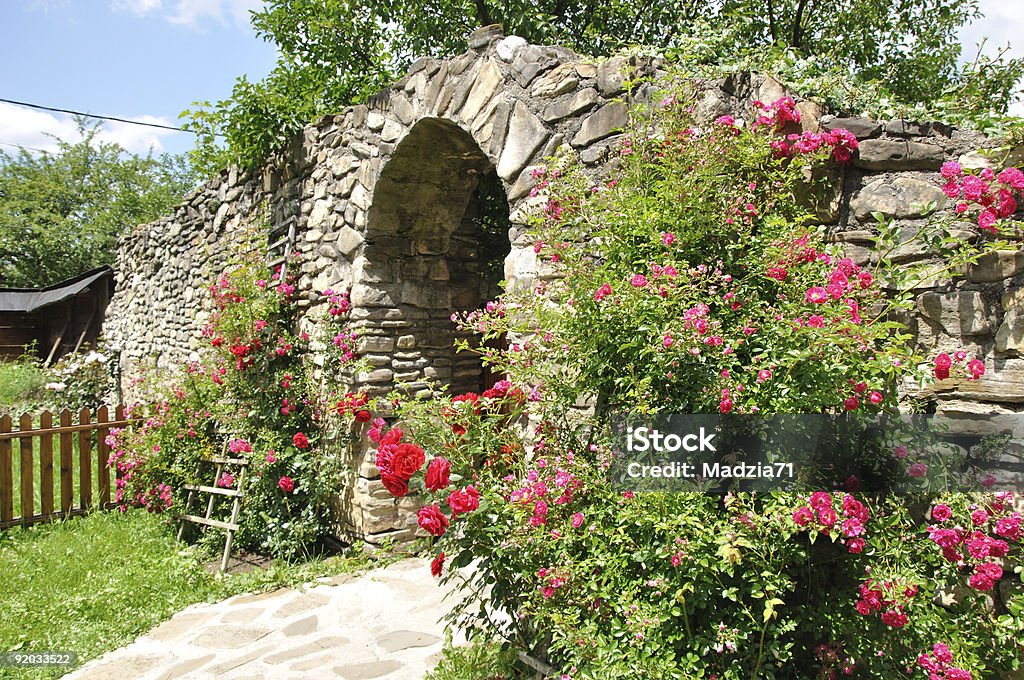 Rose garden  Arch - Architectural Feature Stock Photo