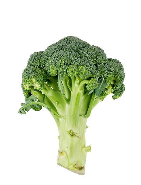 istock Broccoli  raw food isolated over white background. 92033593