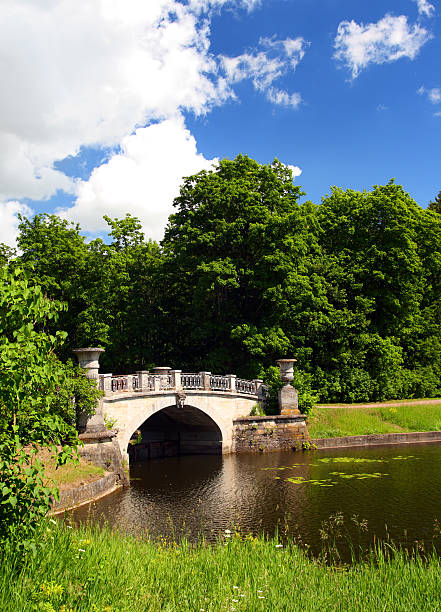 istock bridge across pond in pavlovsk park 92033616