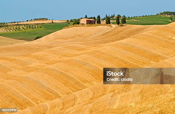 Crete Senesi Característica Paisaje En Val Dorcia Foto de stock y más banco de imágenes de Agricultura