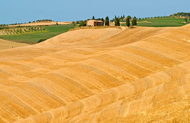 istock Crete senesi, characteristic landscape in Val d'Orcia 92033910