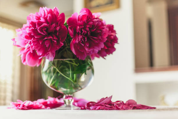 istock red peonies in glass vase stand on table 920339152