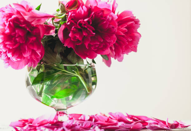 istock Bouquet of red peonies in vase on white background 920339326