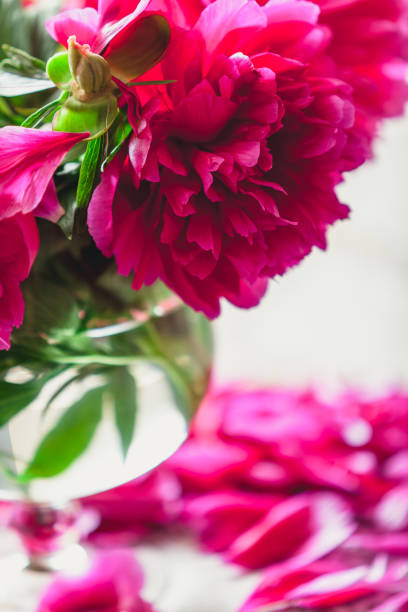 istock red peonies in glass vase stand on table 920339388