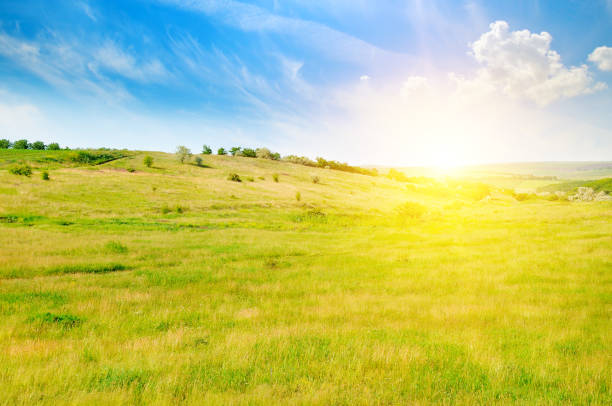 istock Hilly green fields and sunrise on a blue sky. 920342068