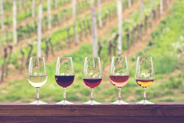 istock Glasses with wine. Red, pink, white wine in glasses. 920342164