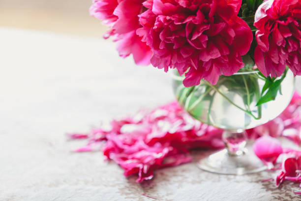 istock red peonies in glass vase stand on table 920342314
