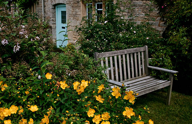 istock Bench, yellow flowers, blue door 92034269