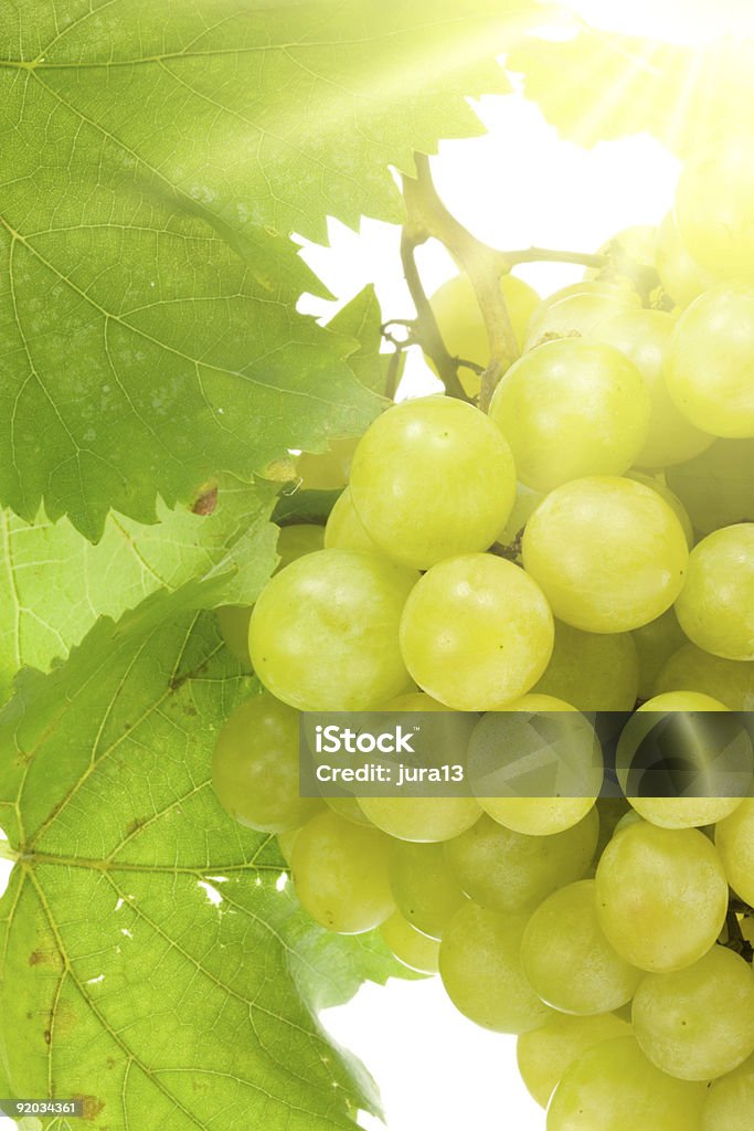 Pęk winogron. - Zbiór zdjęć royalty-free (Bez ludzi)