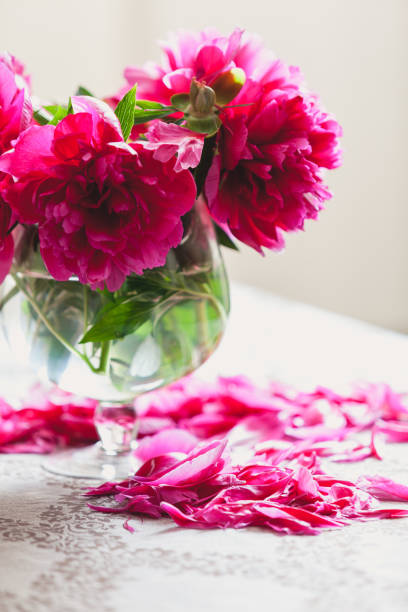 istock red peonies in glass vase stand on table 920344714