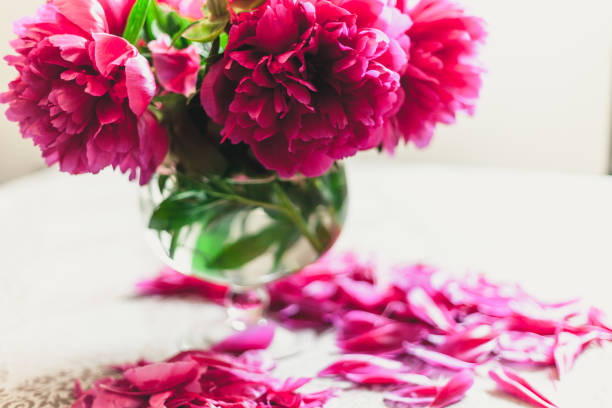 istock red peonies in glass vase stand on table 920344752