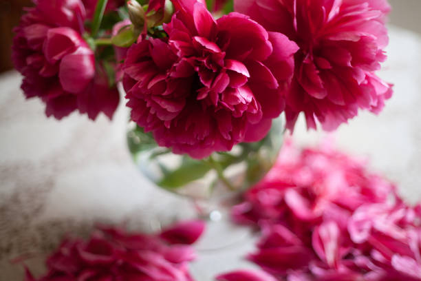 istock red peonies in glass vase stand on table 920344798