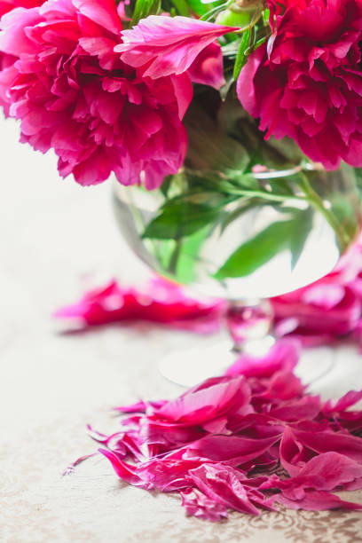 istock red peonies in glass vase stand on table 920345000