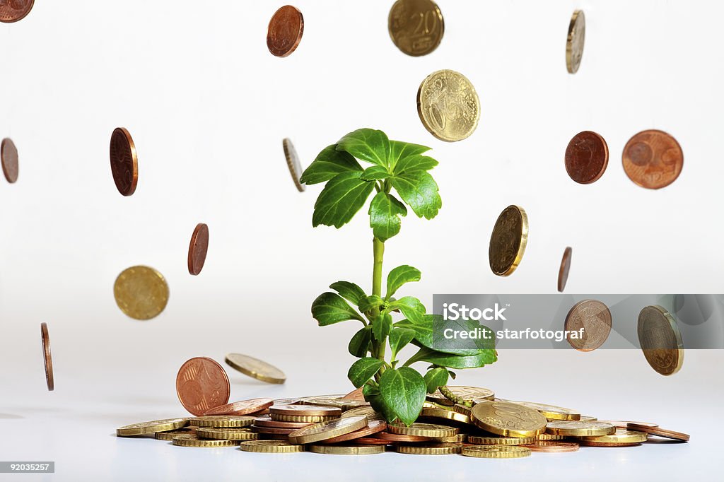 Uprawy młodych roślin z monet wchodzących - Zbiór zdjęć royalty-free (Symbol Euro)