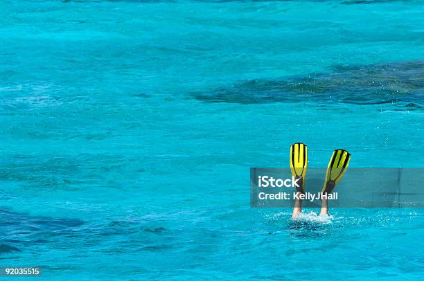 Fins Que Aparecen Fuera Del Mar Foto de stock y más banco de imágenes de Actividades recreativas - Actividades recreativas, Agua, Aleta - Equipo de buceo