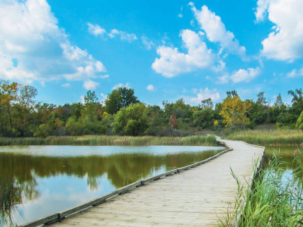 istock Wooden foot bridge in landscape park. 920356026