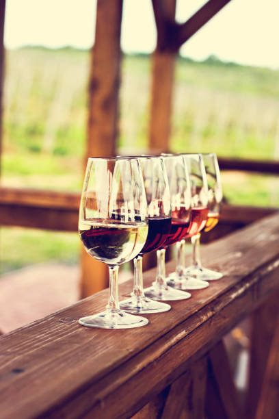 istock Glasses with wine. Red, pink, white wine in glasses. 920356682