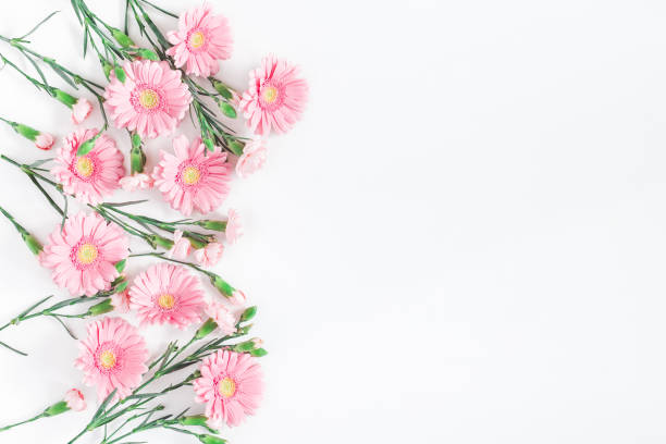 istock Pink flowers on white background. Flat lay, top view 920356970