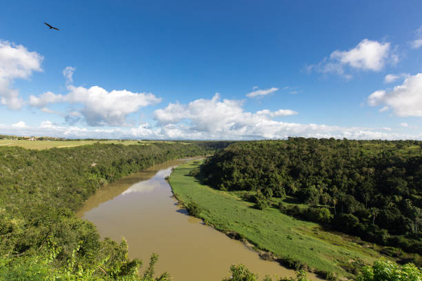 istock River passing through forests and glades against the sky 920357420