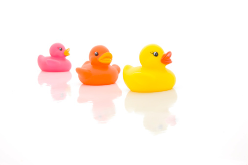 bath Yellow Rubber Duck  on isolate background Clipping path
