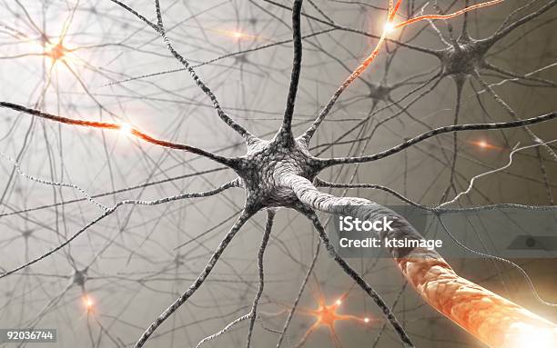 Neuronas Foto de stock y más banco de imágenes de Célula nerviosa - Célula nerviosa, Sistema nervioso humano, Sistema nervioso periférico