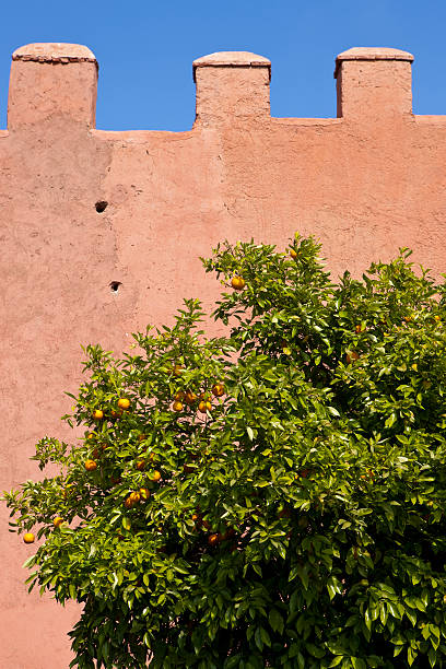 Médina of Marrakech stock photo