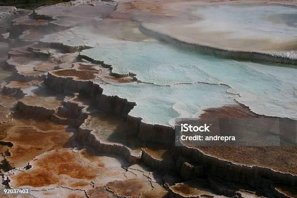 Minerva 테라스 옐로스톤 0명에 대한 스톡 사진 및 기타 이미지 - 0명, 간헐천, 강