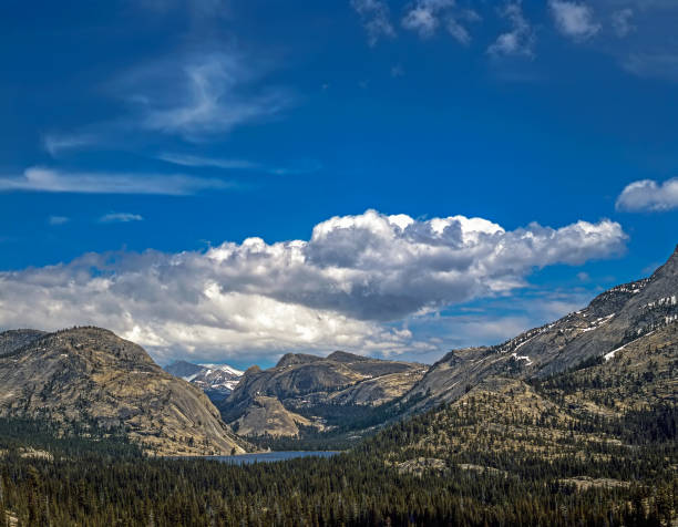 istock Yosemite National Park, California 920374788