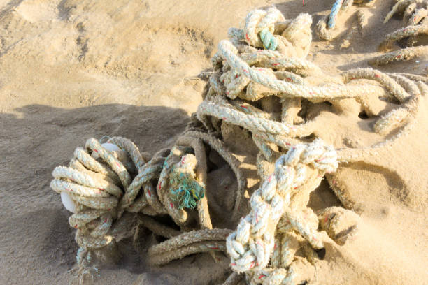 istock Knotted Old Rope Washed Up on Beach 920375096