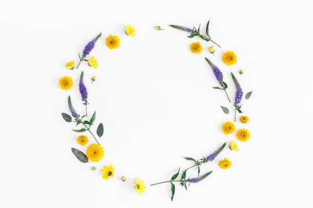 istock Yellow, purple flowers and eucalyptus branches. Flat lay, top view 920375534