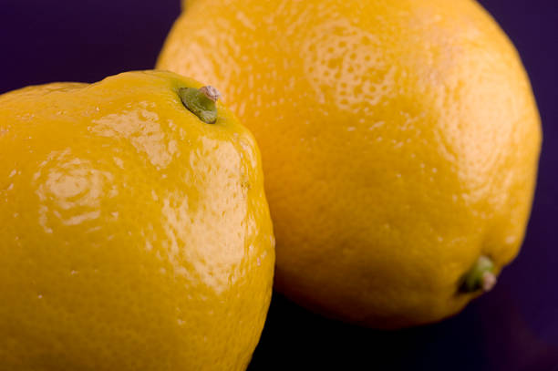 Two Lemons stock photo