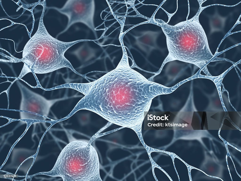 Neurons and Nucleus  Nerve Cell Stock Photo