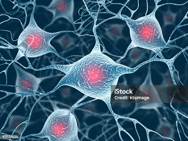 Neurons And Nucleus Stock Photo - Download Image Now - Nerve Cell, Nucleus, Human Nervous System