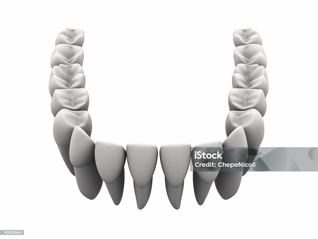 下の歯 1 - かじりかけのロイヤリティフリーストックフォト