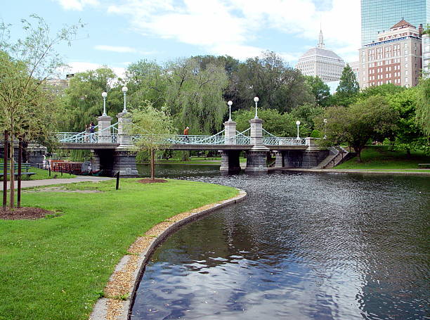 pont dans le jardin public de boston, dans le massachusetts - boston formal garden bridge park photos et images de collection