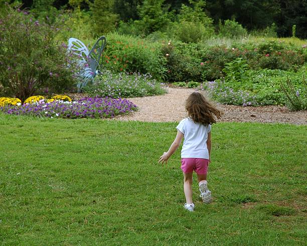 ragazza piccola farfalla - formal garden ornamental garden child single flower foto e immagini stock