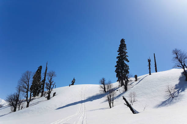 istock scene of snow mountain in Gulmarg, Kashmir 920378510