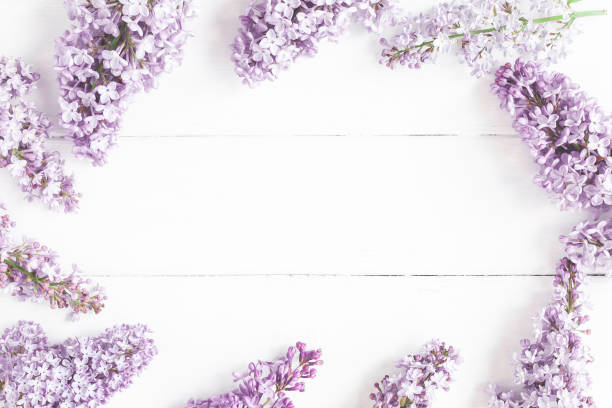 istock Spring lilac flowers on white background. Flat lay, top view 920378832