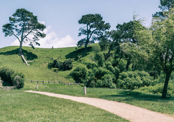 istock Green Grass Field in the Countryside Landscape 920382000