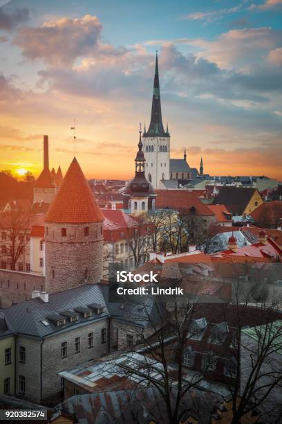 Las Fotos De Tallin Foto de stock y más banco de imágenes de Tallinn - Tallinn, Otoño, Estonia