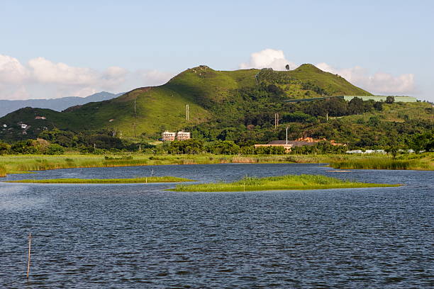 istock Hong Kong Wetland 92038292