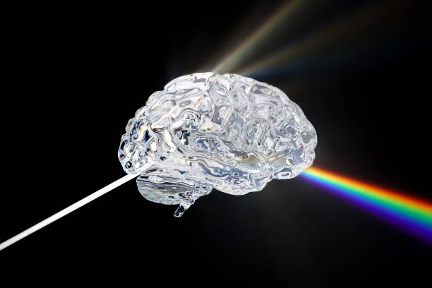 ガラス可視スペクトル波光線、3 d を用いたひと脳のレンダリング - colors spectrum color image lighting equipment ストックフォトと画像