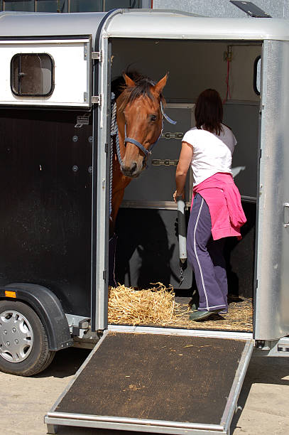 istock Women with horse trailer 92038771