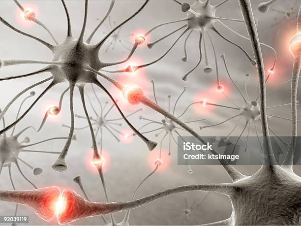 Photo libre de droit de Neurons banque d'images et plus d'images libres de droit de Anatomie - Anatomie, Axone, Biologie