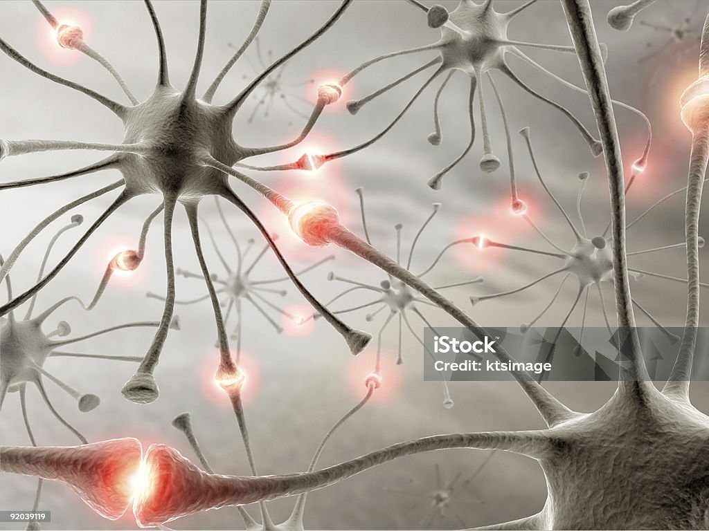 Neurons - Foto stock royalty-free di Anatomia umana